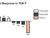 Alaunos Therapeutics Announces Third Quarter 2023 Financial Results, Phase 1 Clinical Data and Continued Exploration of Strategic Alternatives