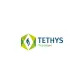 Tethys Petroleum Press Release: Annual Results and Corporate Update