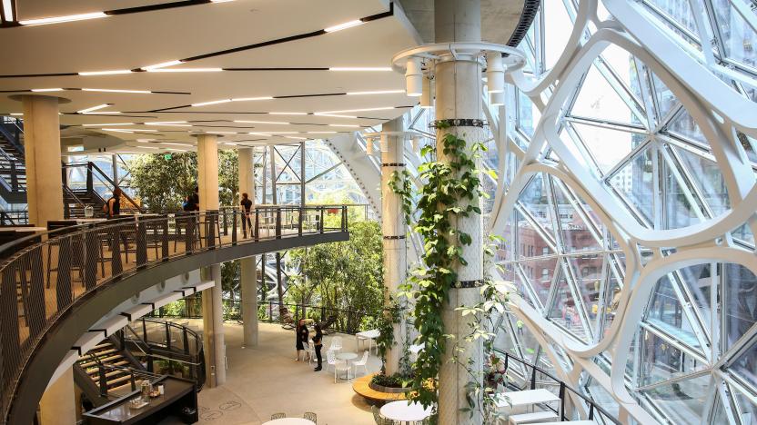 The second and third floors of the new Amazon Spheres are seen during a grand opening event at Amazon's Seattle headquarters in Seattle, Washington, U.S., January 29, 2018.    REUTERS/Lindsey Wasson