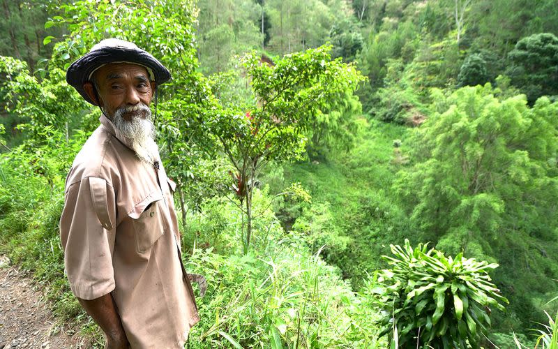 Saat itu disebut kegilaan, pejuang lingkungan Indonesia mengubah lereng bukit menjadi hijau tandus