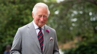 Prince Charles Planned a Secret Dinner With Prince Harry When He Was in London for the Diana Statue Unveiling