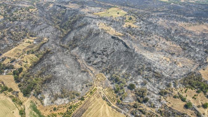 FOTO: Penampakan Hutan di Turki Usai Kebakaran