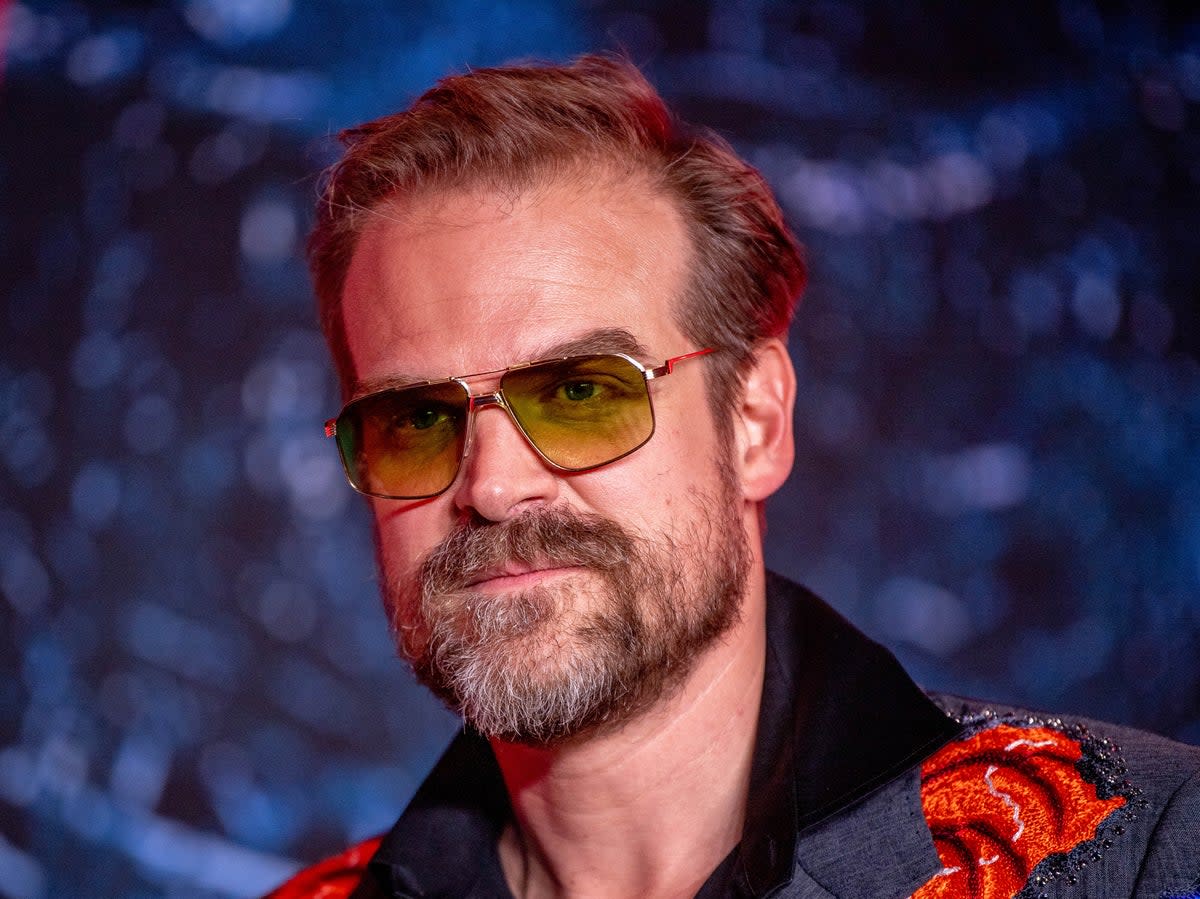 David Harbour dit que les jeunes co-stars sont “impliquées dans un champ de mines”