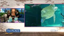 2 Big Events in May at the Loveland Living Planet Aquarium