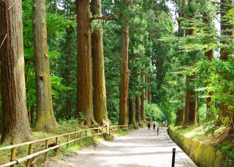 走訪日本的世界遺產 平泉黃金文化 淨土庭園 旅遊 Yahoo奇摩行動版