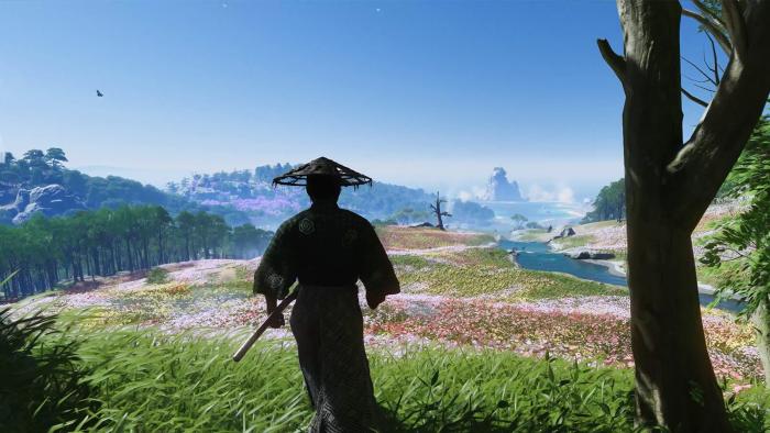 A figure wearing a straw hat is shown from behind as they gaze out at a colorful landscape of flowers, trees and mountains.