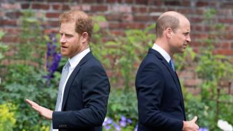 Prince Harry Reportedly Treated Like an Outsider During Royal Reunion with Brother Prince William