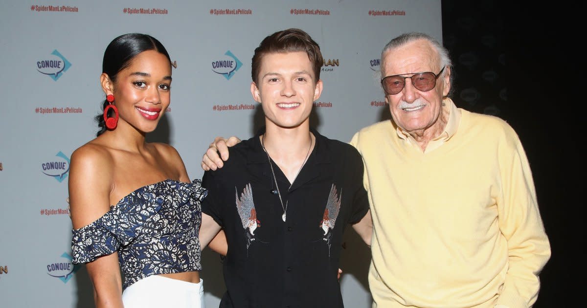 Tom Holland Recalls Stan Lee Gave Him 'the Entire History ...