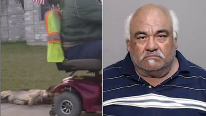 Man Arrested After Woman Captures Video of Him Dragging Dog Behind Motorized Scooter