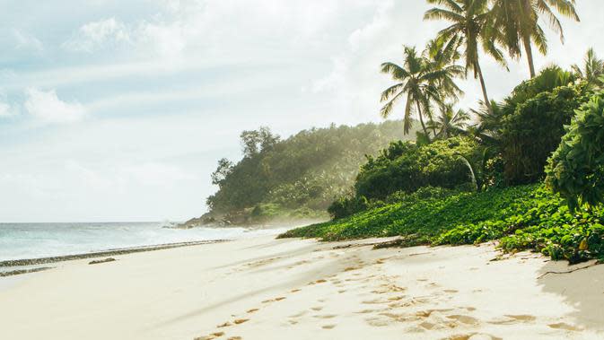 30 Kata-Kata Berkelas dan Keren tentang Pantai, Pas untuk ...