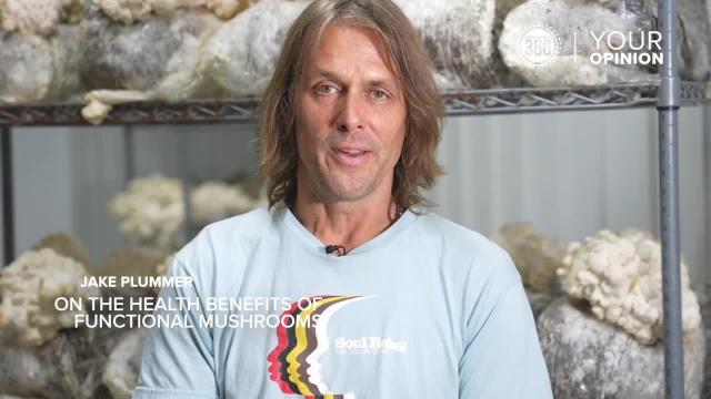 From NFL quarterback to mushroom farmer: Jake Plummer's journey from the  gridiron to the fields of Fort Lupton - CBS Colorado