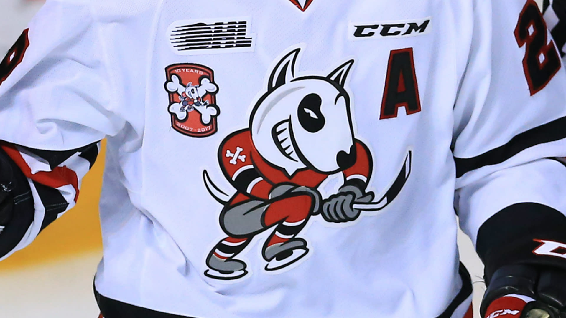 niagara icedogs jersey