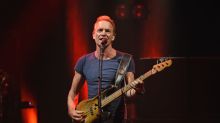 Le api di Sting senza miele: tutta colpa del caldo