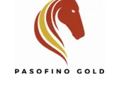 Pasofino Gold Announces Appointment of New Board Director