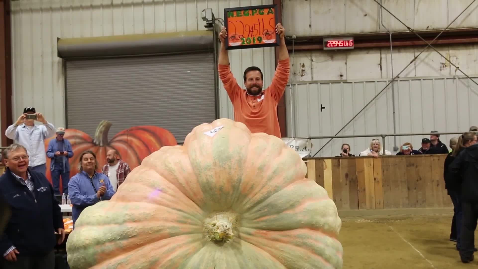 2019 winner of giant pumpkin competition breaks Topsfield Fair record