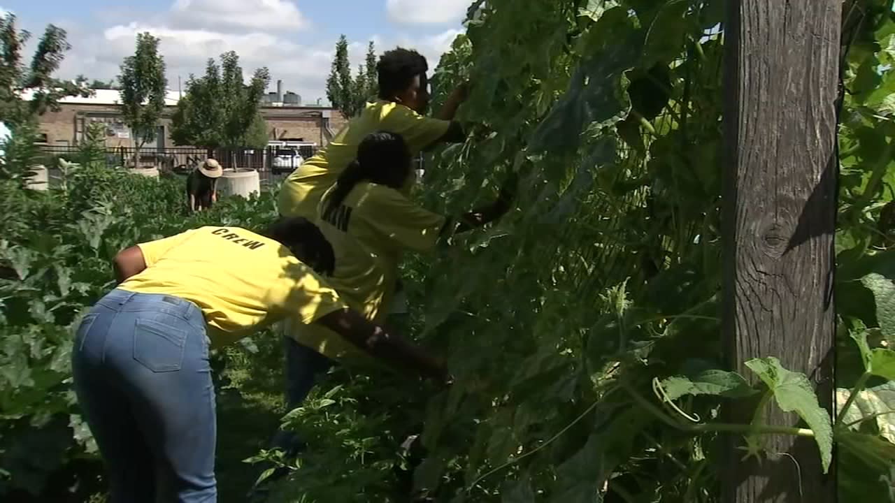 Chicago urban farm teaches students with autism vital skills