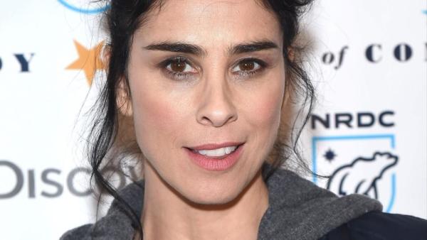 600px x 337px - Sarah Silverman posted a photo of her naked breasts to ...