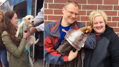 57 Dogs That Were Rescued From Kill Shelters Meet Their New Families For The First Time