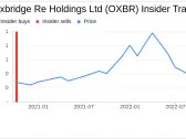 Insider Buying: Allan Martin Acquires 100,000 Shares of Oxbridge Re Holdings Ltd (OXBR)