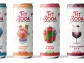 Fit SodaTM Unveils New Rainbow Sherbet Flavor, Launching in All 1,110 Food Lion Grocery Store Locations in May 2023