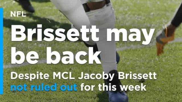 Brissett may be back