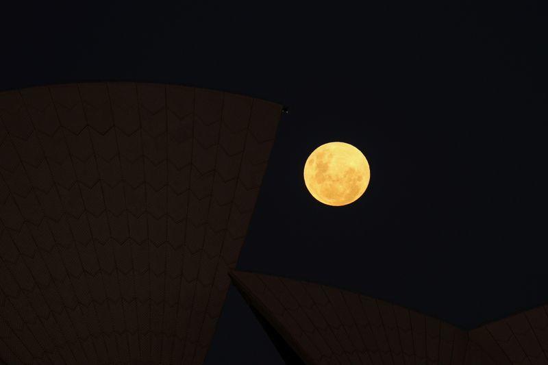 Super Flower Moon rises in clear sky over Sydney Opera House