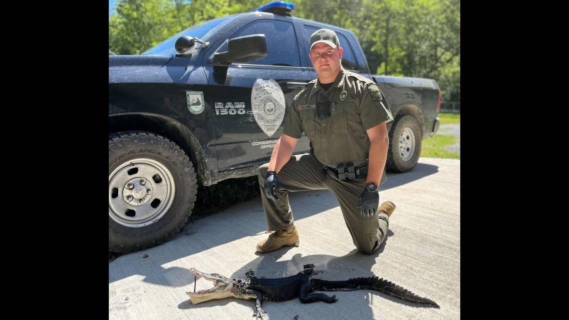 Un homme de l’Est du Kentucky est inculpé après que les enquêteurs ont découvert qu’il avait amené un alligator de Floride