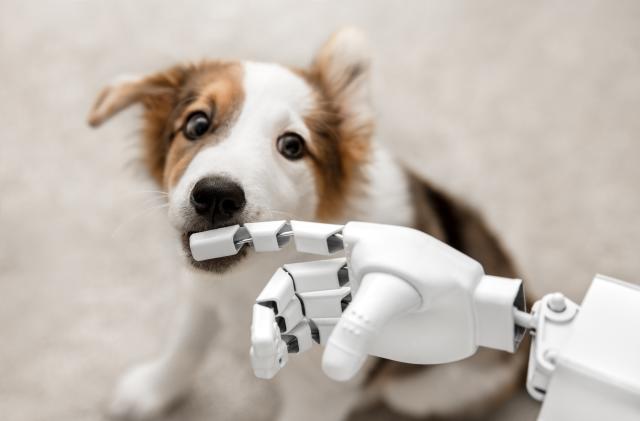 Man and Machine Robot Hand Handshake as Tech Concept