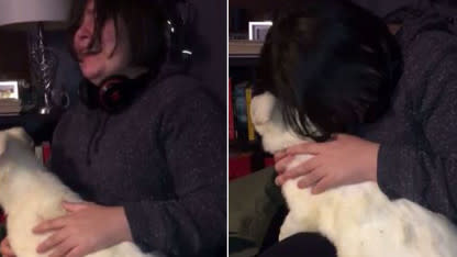 Teen With Autism Denied A Service Dog But Finally Gets One in Emotional Video