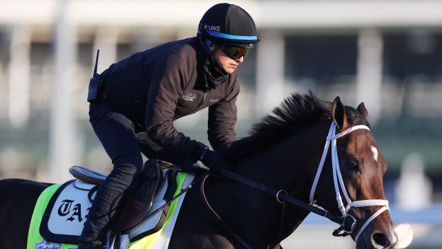 Previewing the top horses in the Kentucky Derby