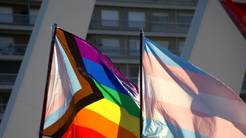 Transgender flag in the LGTB Pride Parade in Valencia ( spain