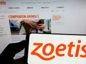 Zoetis Stock Falls on Concerns Over Pet Arthritis Drugs. Company Says They’re Safe.