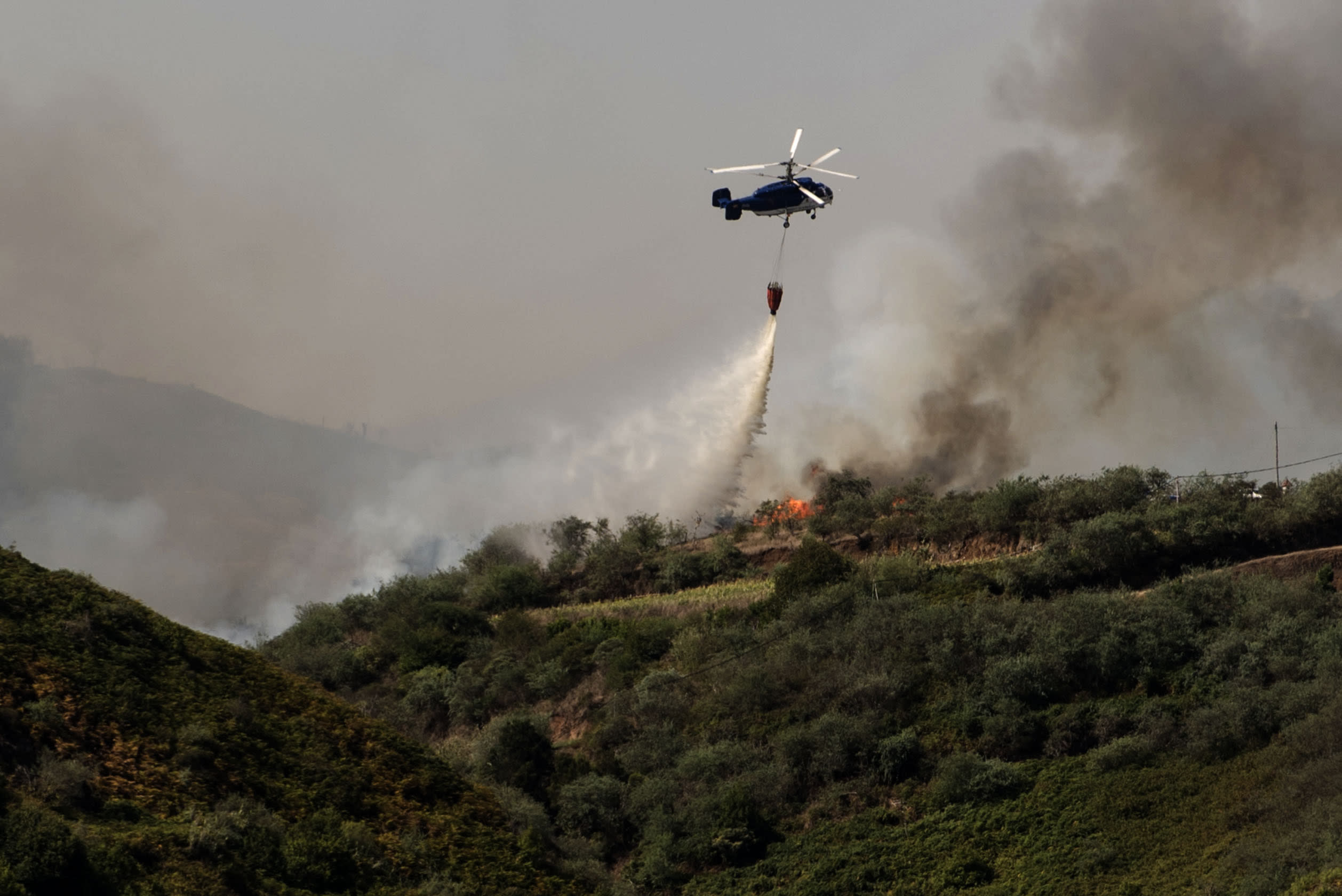 Thousands flee from 'monster' wildfire on Canary Islands