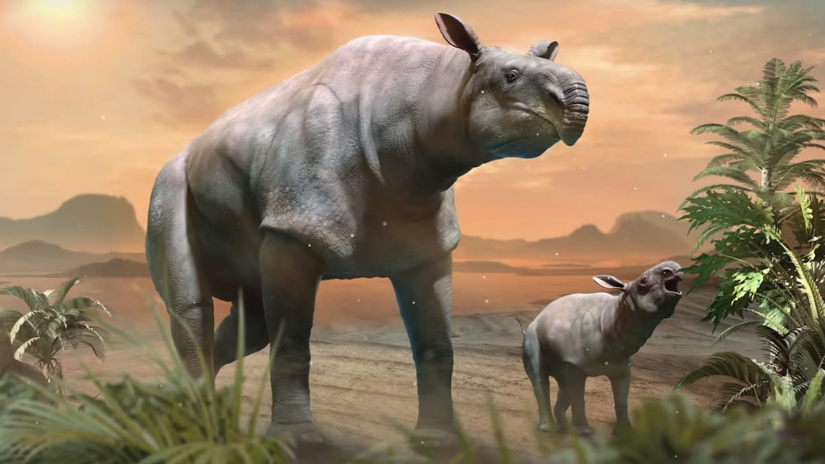 Giant Rhino Found in China Was Largest Land Mammal Ever - Yahoo Lifestyle