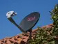 DirecTV, Dish to Merge to Create Largest US Pay-TV Provider