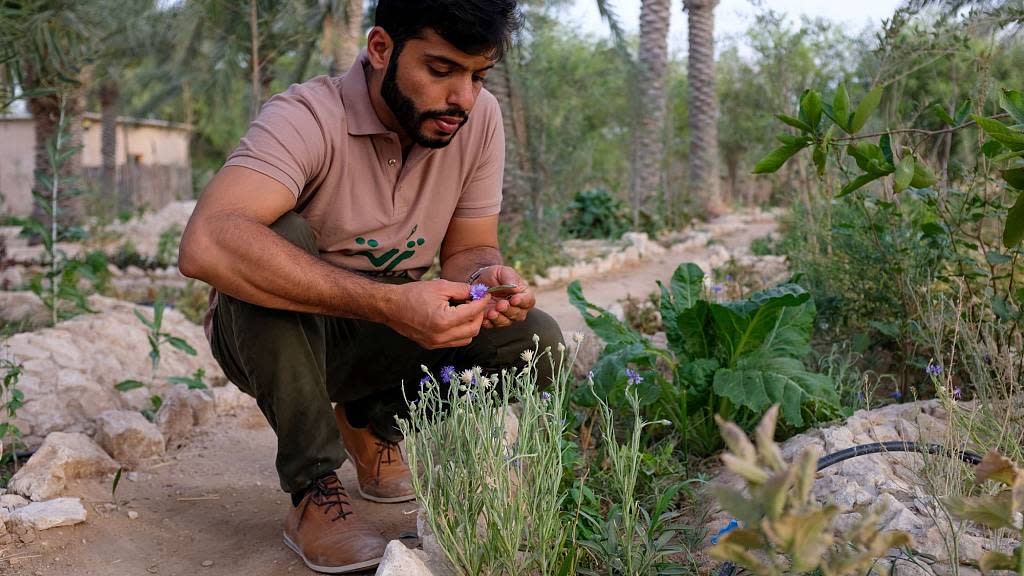 Rencontrez l’agriculteur qatari qui cultive des plantes médicinales dans le désert