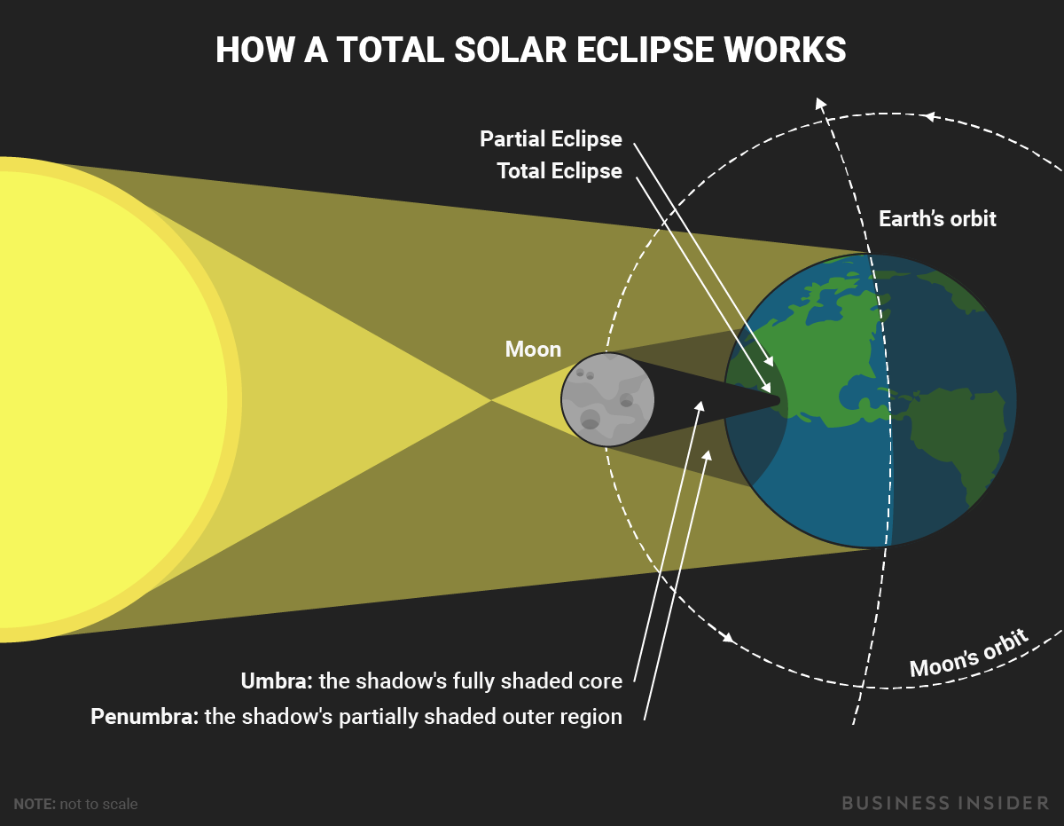 This diagram shows what happens during a total solar eclipse