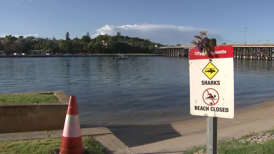 New Caledonia beach where Australian father Chris Davis mauled to death by  shark closed for a year