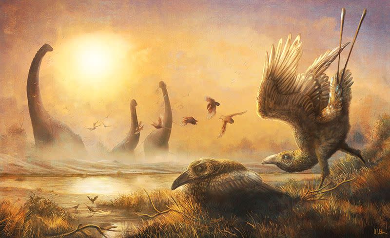 Dinosaur-era bird with scythe-like beak sheds light on avian diversity - Yahoo News