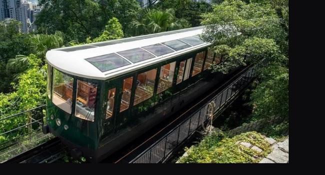 香港林間竄纜車 登高賞壯闊景