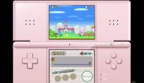 A screenshot of a Nintendo DS emulation for iPad 