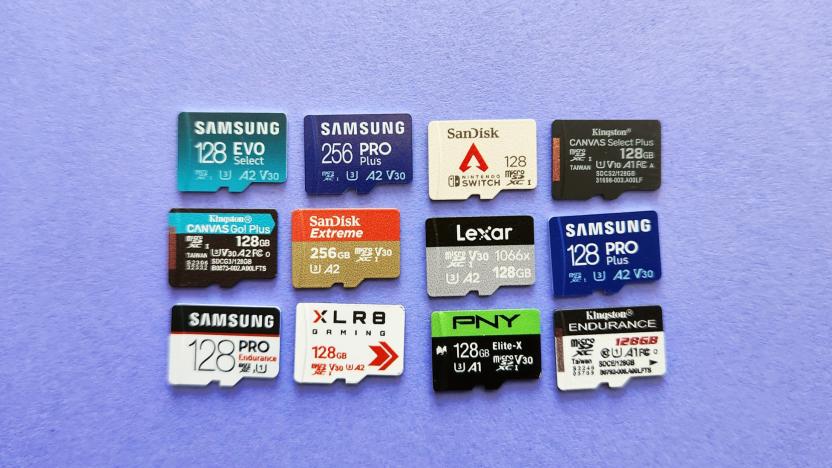 A handful of the microSD cards we tested for our best microSD card buying guide, including the Samsung Evo Select, Samsung Pro Plus (2023), SanDisk microSDXC Card for Nintendo Switch, Kingston Select Plus, Kingston Canvas Go Plus, SanDisk Extreme, Lexar Professional 1066x, Samsung Pro Plus (2021), Samsung Pro Endurance, PNY XLR8 Gaming, PNY Elite-X and Kingston High Endurance.