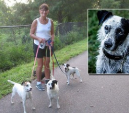 Grandmother Outraged After Dog Was Eaten By An Alligator During A Family Walk in the Park