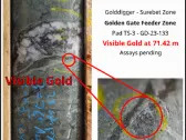 Goliath Drills Visible Gold and 12.47 Meters of Highly Mineralized Quartz-Sulphide-Rich Breccia at Surebet Golden Gate Feeder Zone,  Golden Triangle, B.C.