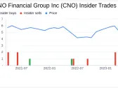 Insider Sell: President, Consumer Division Scott Goldberg Sells 9,402 Shares of CNO Financial ...