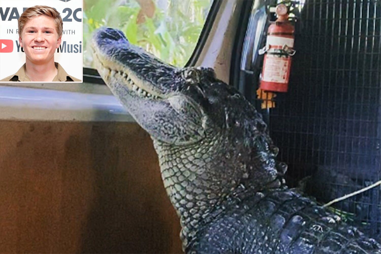 Robert Irwin Shares Video Of Australia Zoo Alligator Enjoying Car Ride