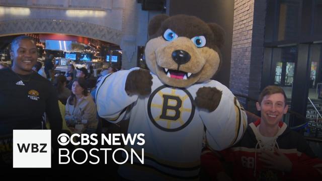 Boston sports fans excited for busy week of playoff action