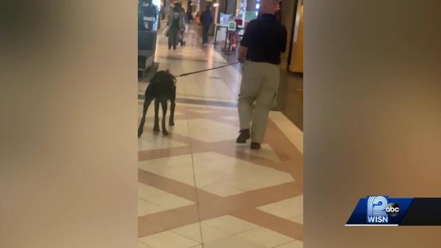 are dogs allowed at mayfair mall