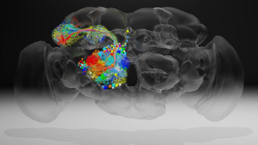 Z. Zheng et al./Cell 2018