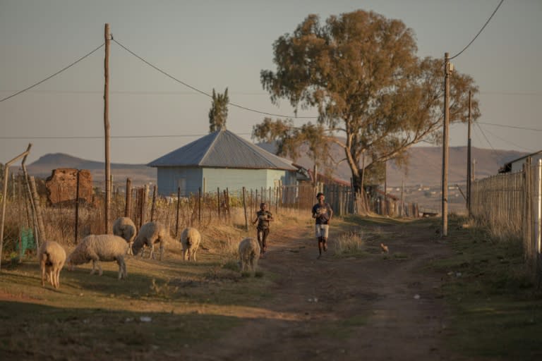 Diving in South Africa’s “village of death”